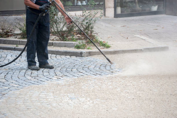 Best Pre-Holiday Cleaning  in Rainbow Lakes, NJ